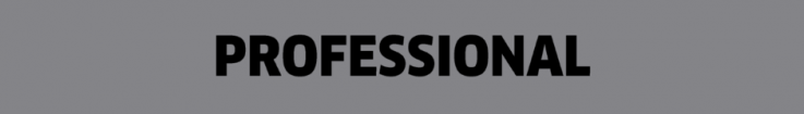 Logo Professional
